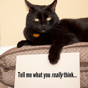 Tell me what you really think...