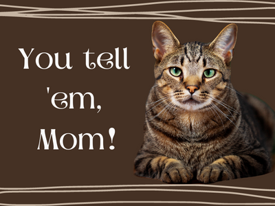You tell 'em cat